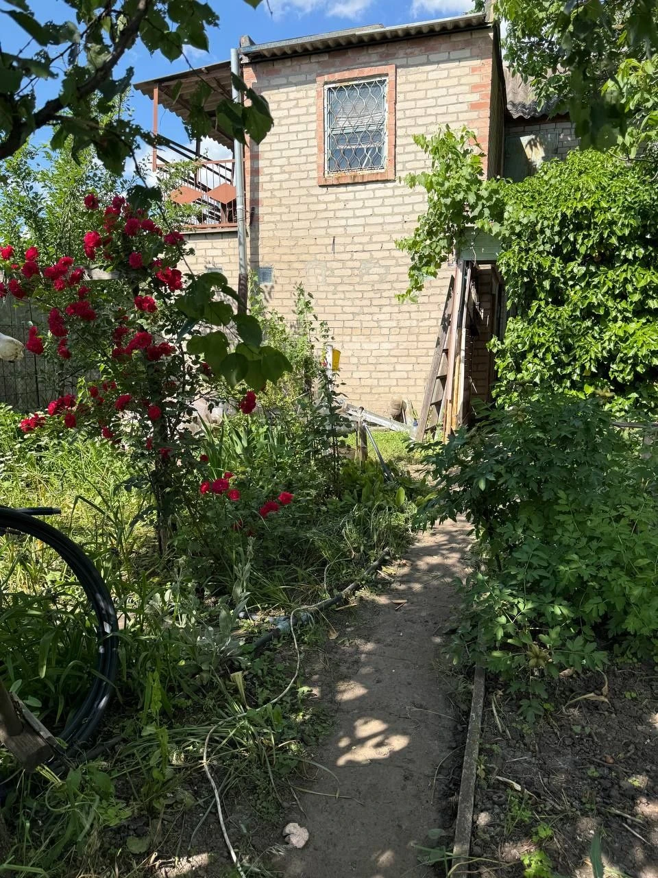 Dacha, village Незалежне, Krivoi Rog