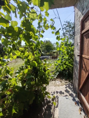 Продам дачу на Карачунах