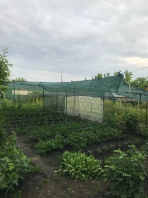 Cottage for Sale in the "MODR" Cooperative Zone