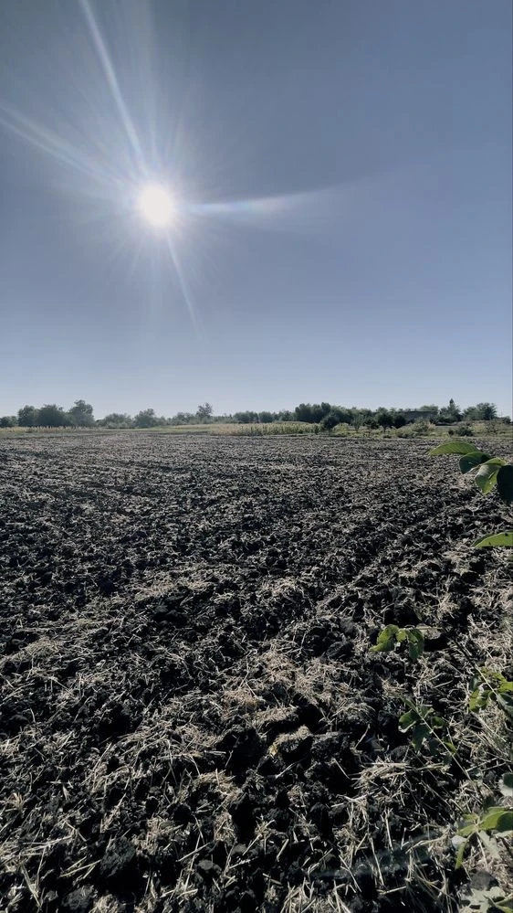 Sale of a 3-bedroom house near Kryvyi Rih | village Chervonyi Pody