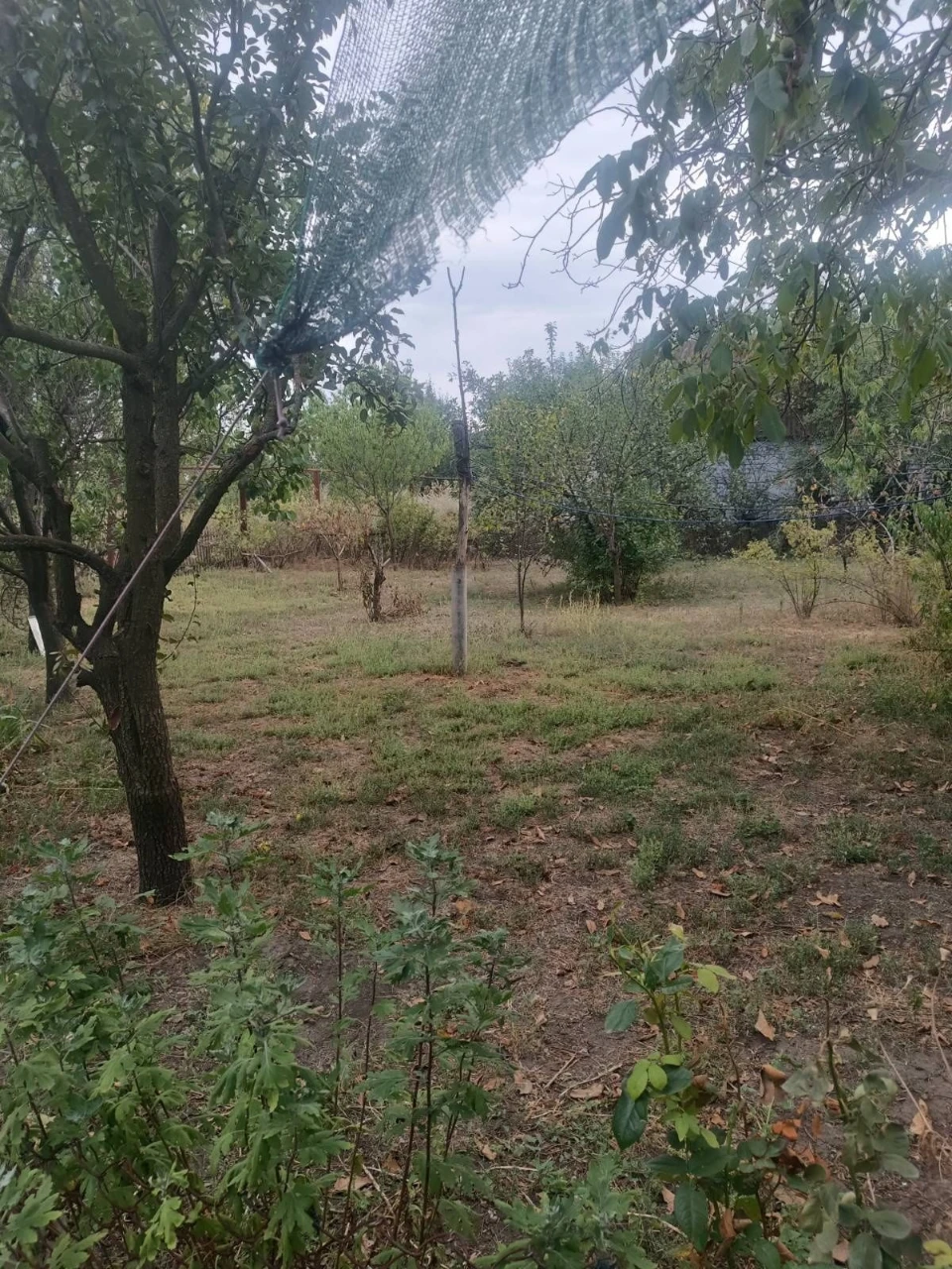 For sale, house in the village of Polohy