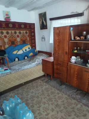 For sale, house in the village of Polohy