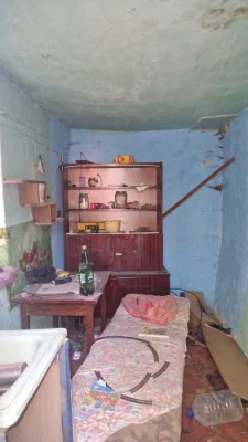 Trampark L. Ukrainky Plot with house and shop