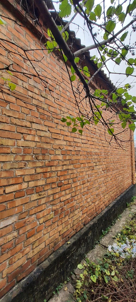 Будинок з ділянкою