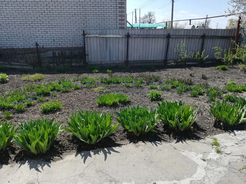 Продаж будинку Шевченківське