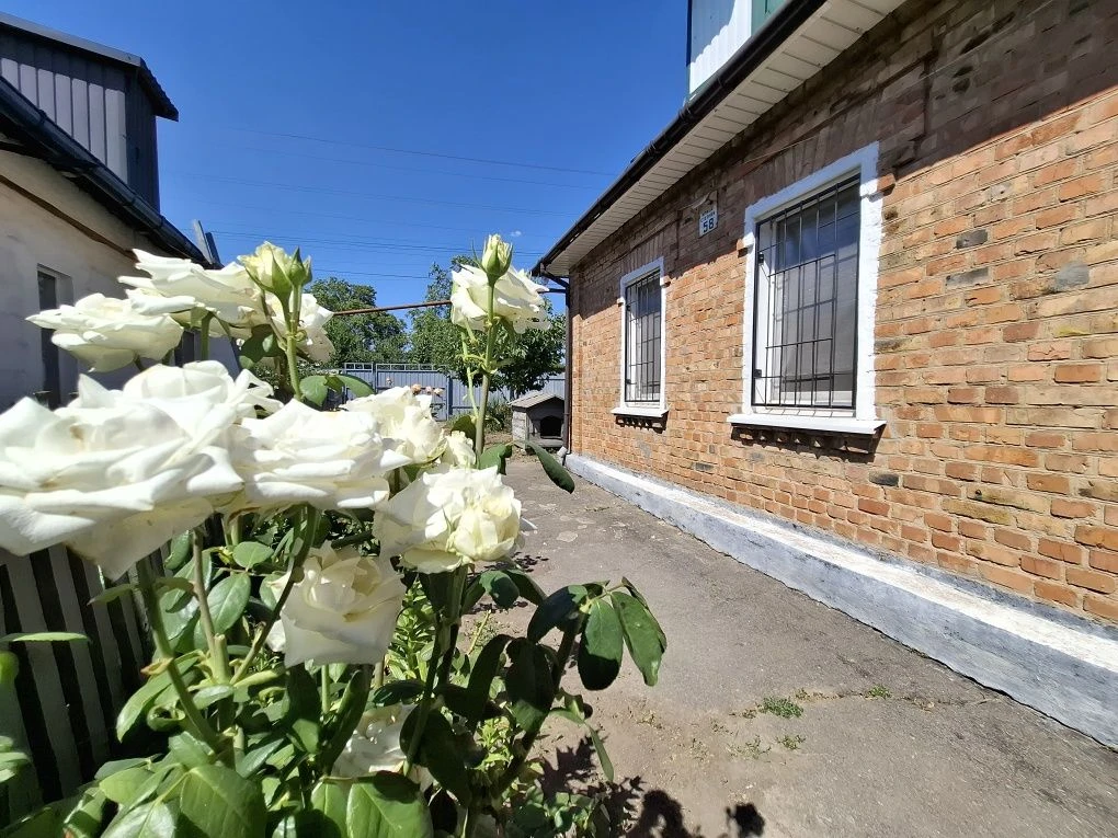 Продам  будинок  в Божедаровкі