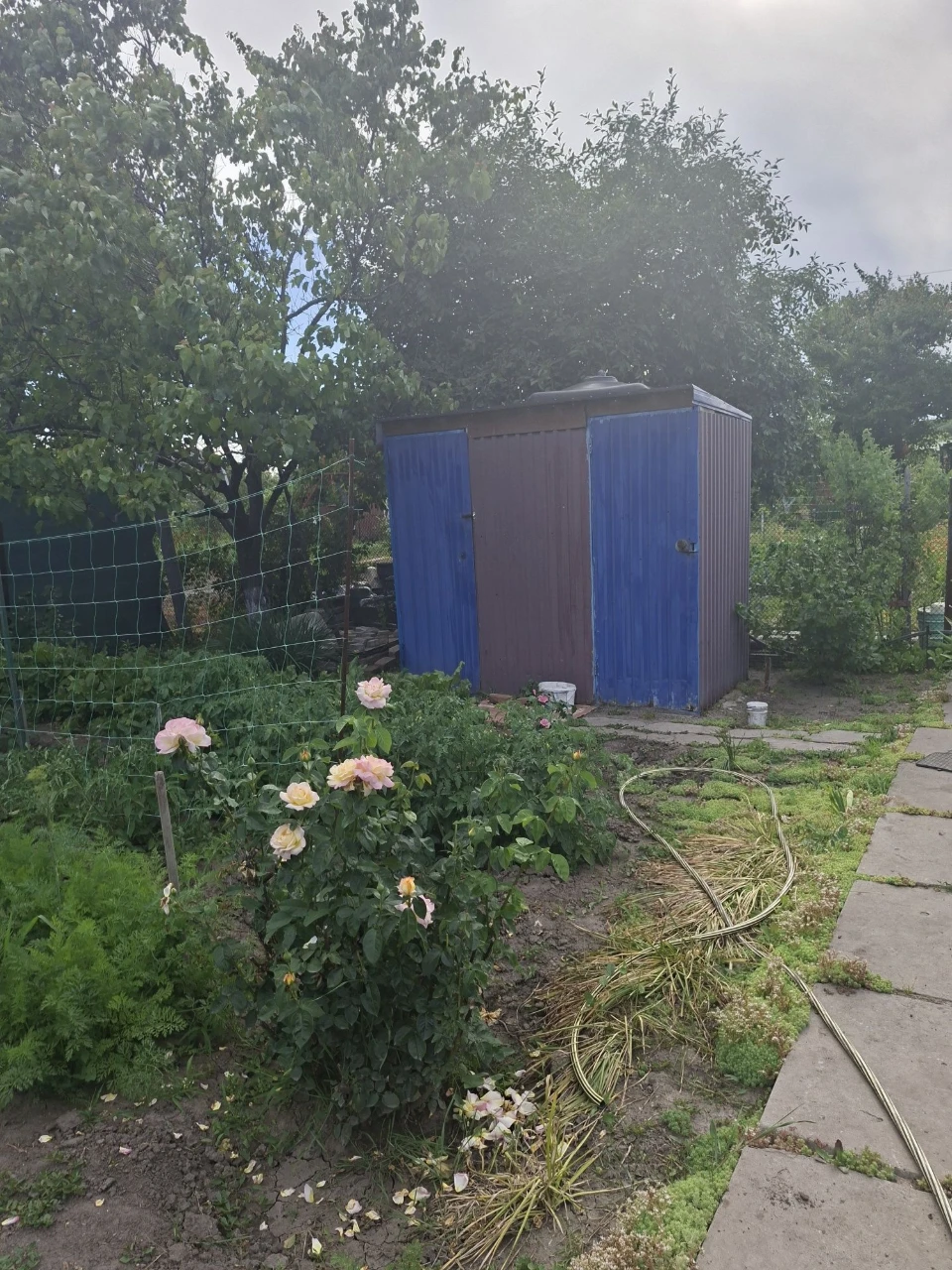 Selling house/cottage by the river / from Zarych 5 km /