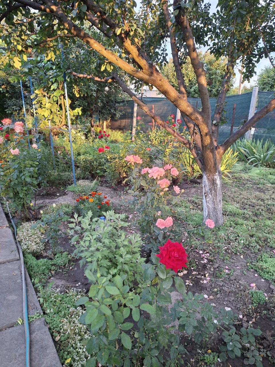 Selling house/cottage by the river / from Zarych 5 km /