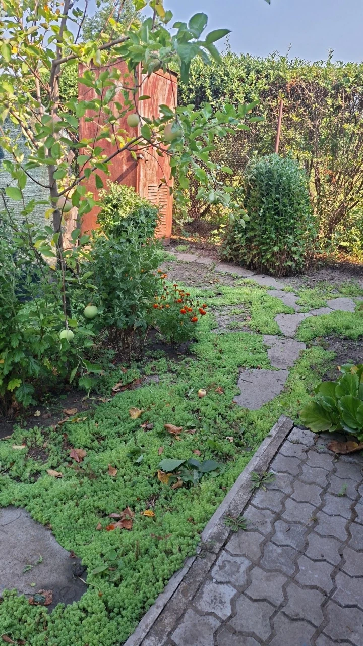 Selling house/cottage by the river / from Zarych 5 km /
