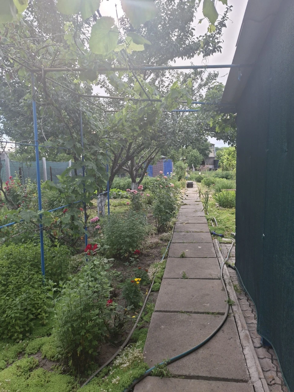 Selling house/cottage by the river / from Zarych 5 km /