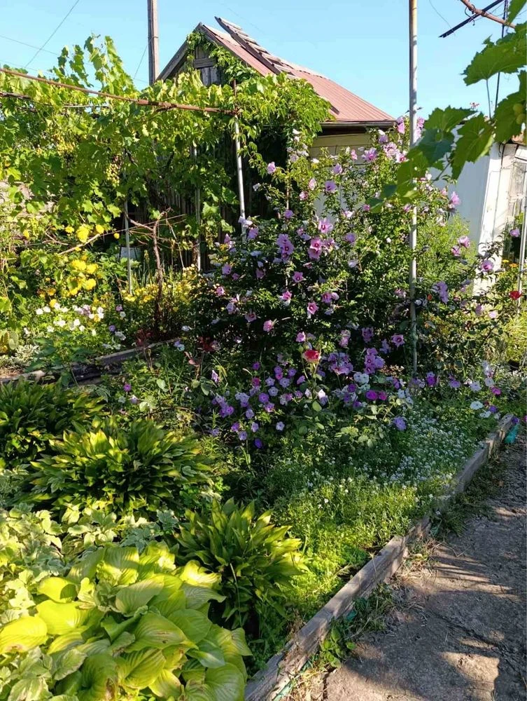 Cottage for sale. Upper Mopr