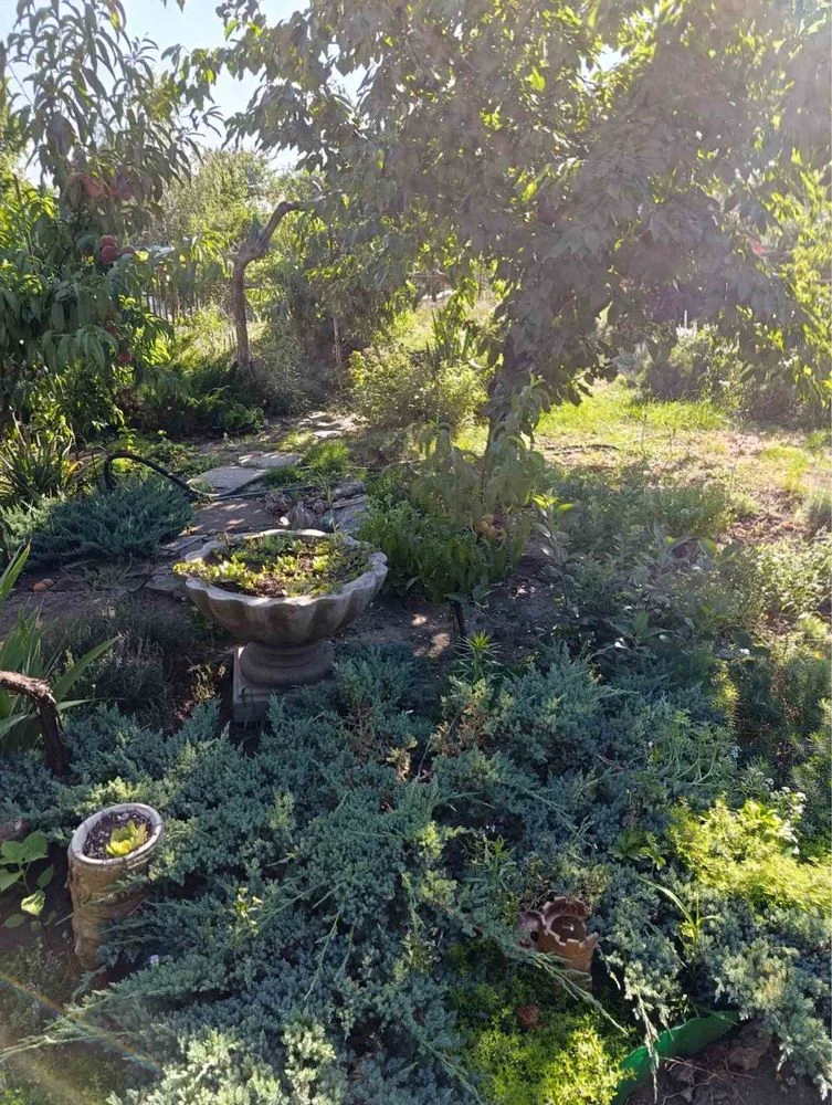 Cottage for sale. Upper Mopr