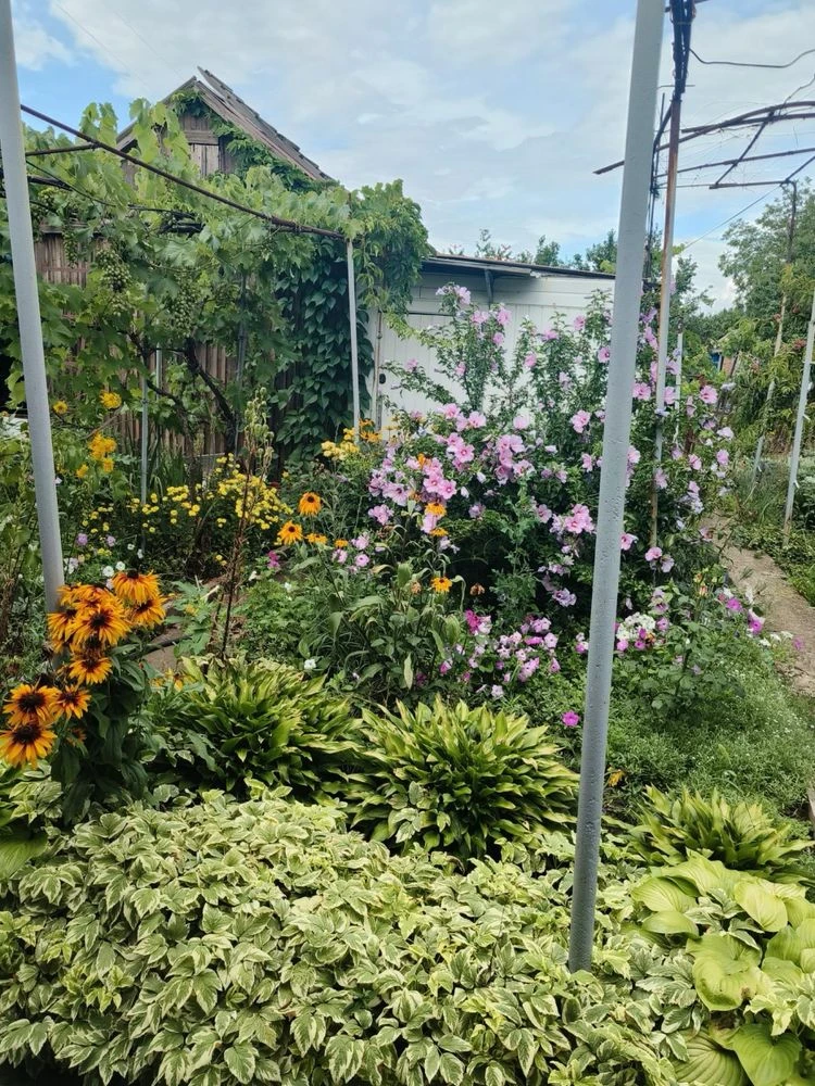 Cottage for sale. Upper Mopr