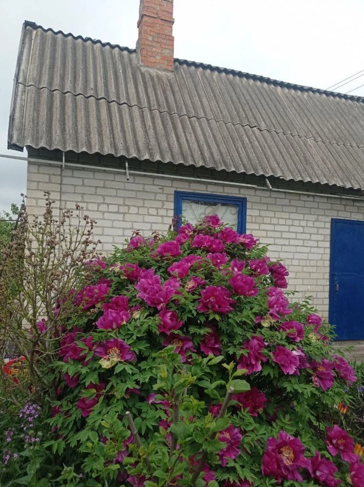 Продам дачну ділянку з будинком