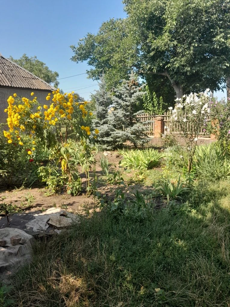 For sale house in the village of Gorky