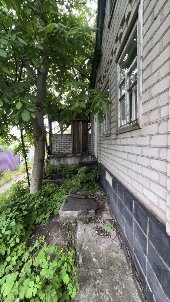 Cottage in the city limits