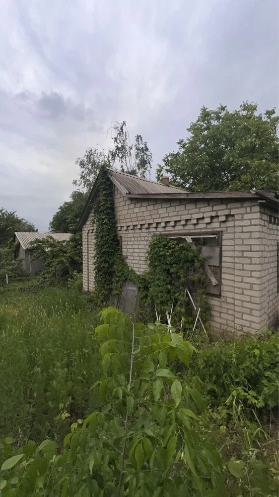 Cottage in the city limits