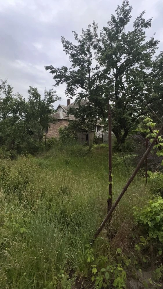 Cottage in the city limits