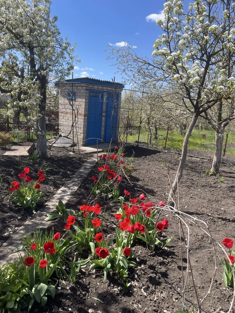 Dacha in ST Magistral, Batyrinskaya