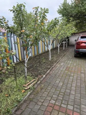 Продажа дома возле реки Саксагань р-н  Суха Балка  вул. Набе