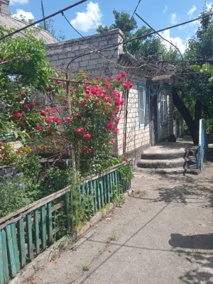 Продається будинок у веселих тернах