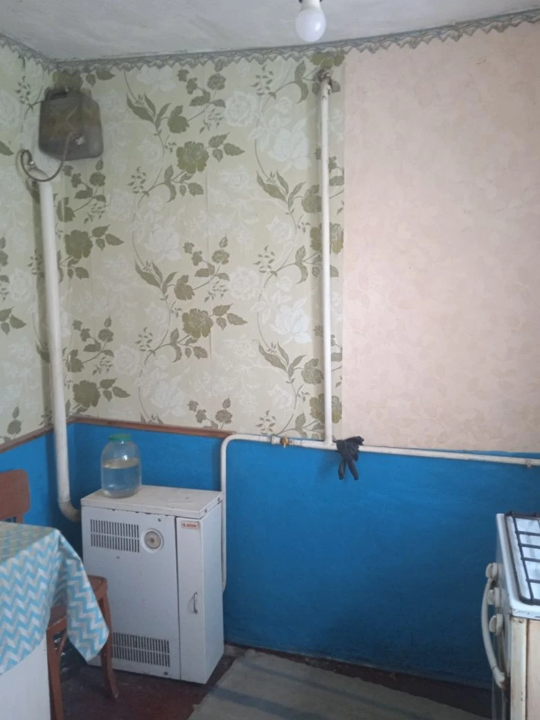 Продається будинок у веселих тернах