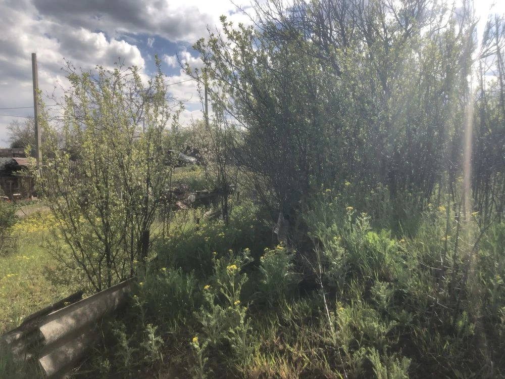 For sale large country plot in the area of Novaya Ivanovka nearby