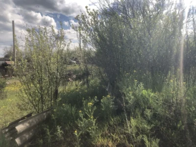 For sale large country plot in the area of Novaya Ivanovka nearby