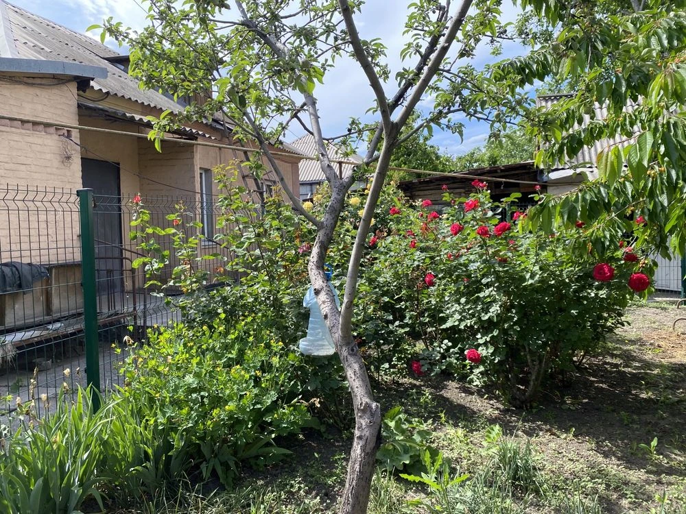 Selling house in Ternivsky District