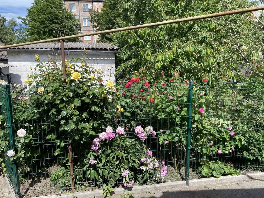 Selling house in Ternivsky District