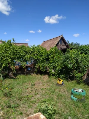 Дом (75 М2), земельный участок (9,5 соток).