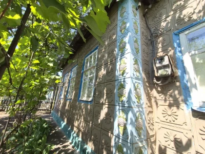 House for sale. Microdistrict. Yuliyevna. Vladislav Revna Street