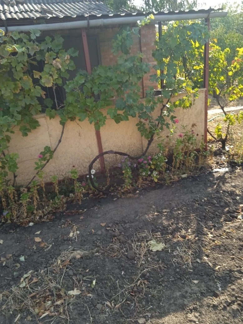 Продається дача у Центрально-Міському районі(МОДР)