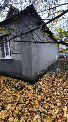 House for sale, m. Kryvyi Rih, Ternivsky district, s. Bodgevarivka