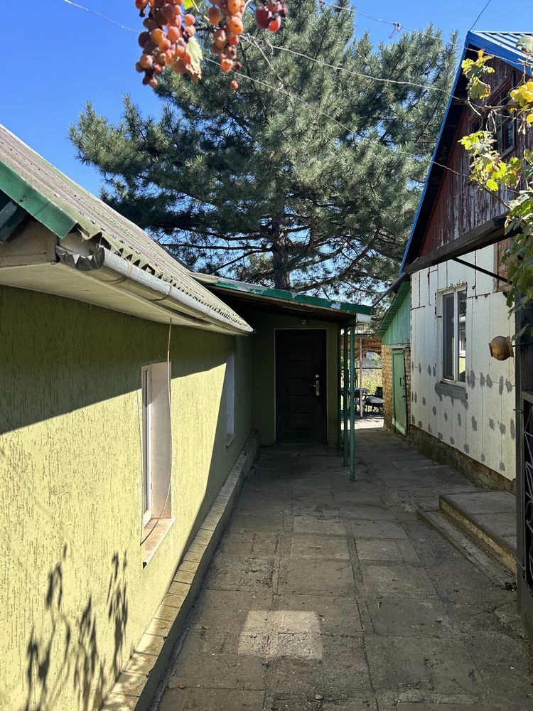 House and Land for Sale - 10 acres