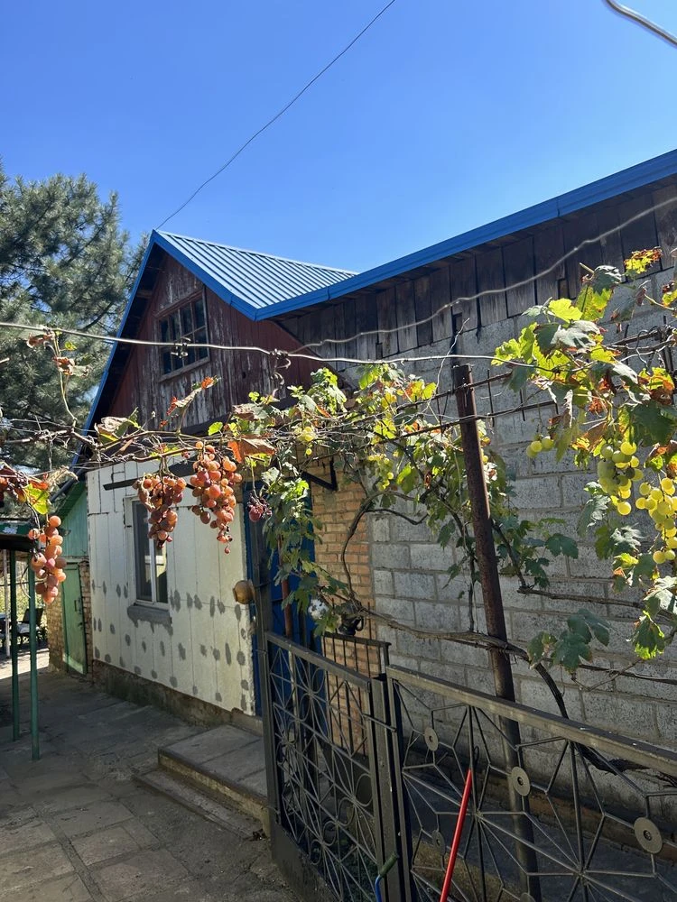 House and Land for Sale - 10 acres