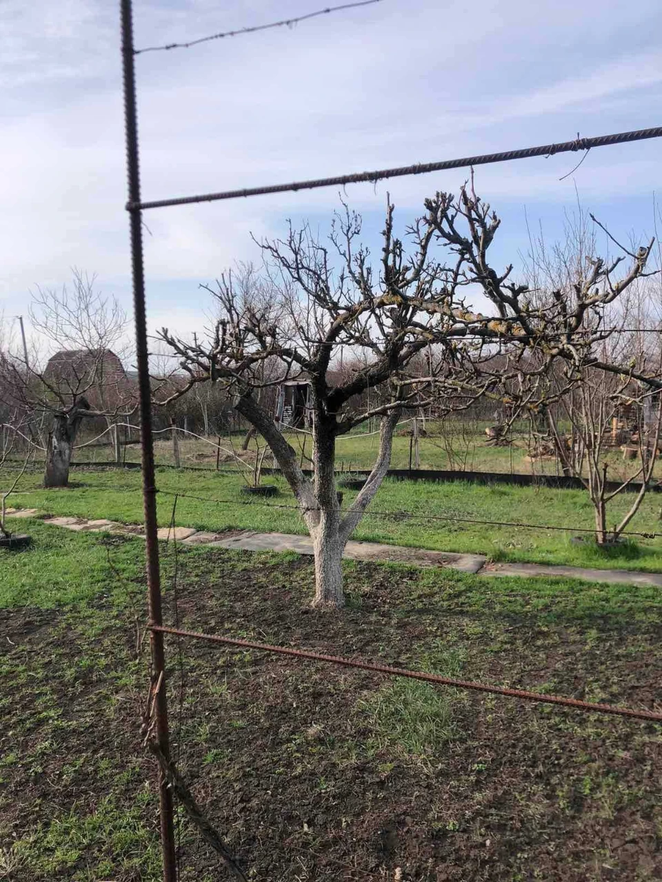 Country house for sale