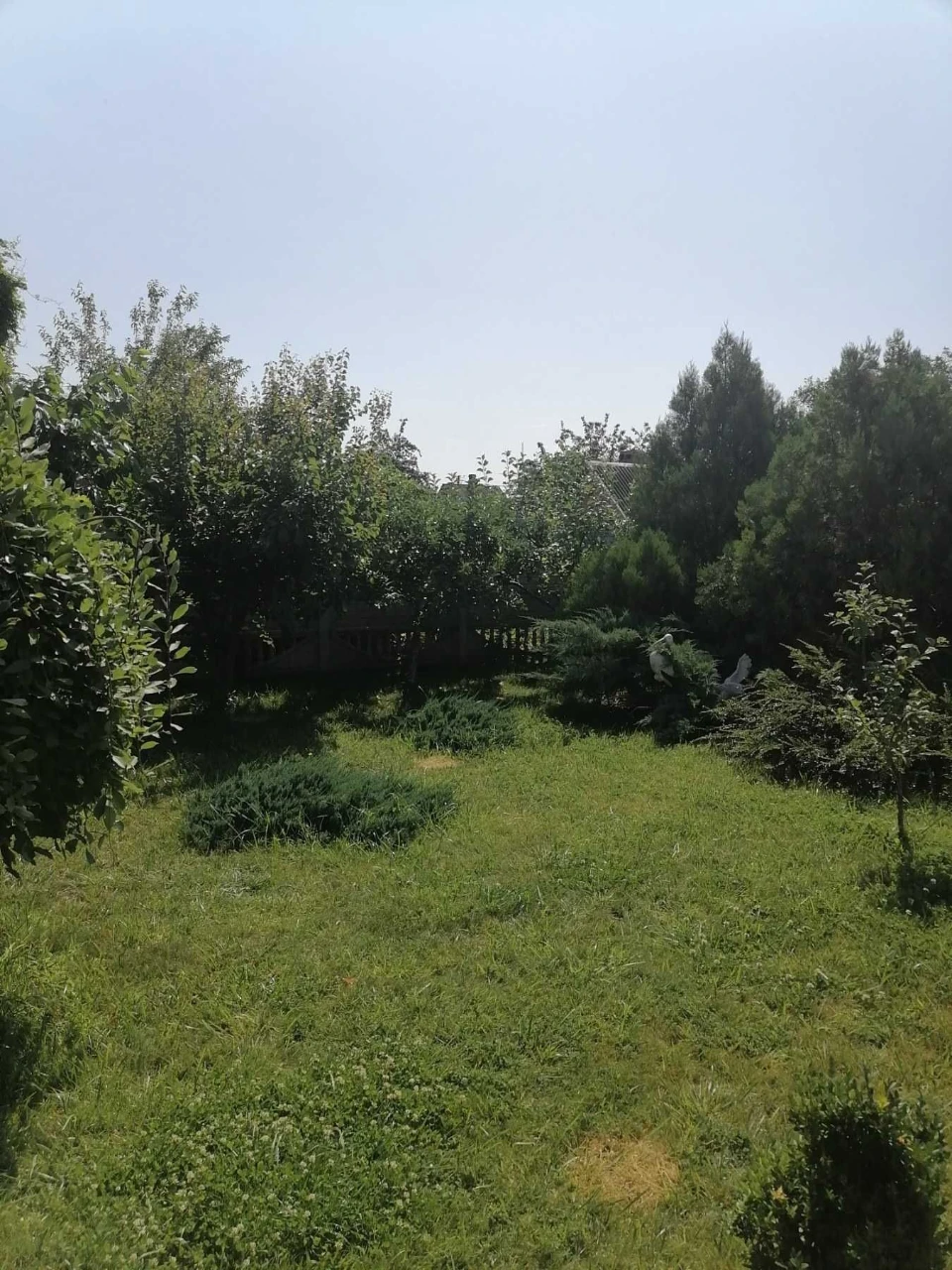 Sale of House on Proizna Street (Lite)