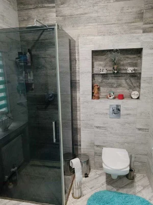 Sale of House on Proizna Street (Lite)