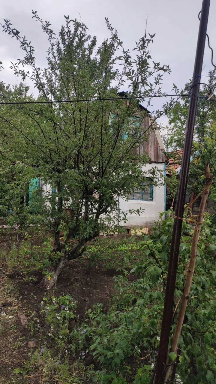 For sale: Cottage, garden.