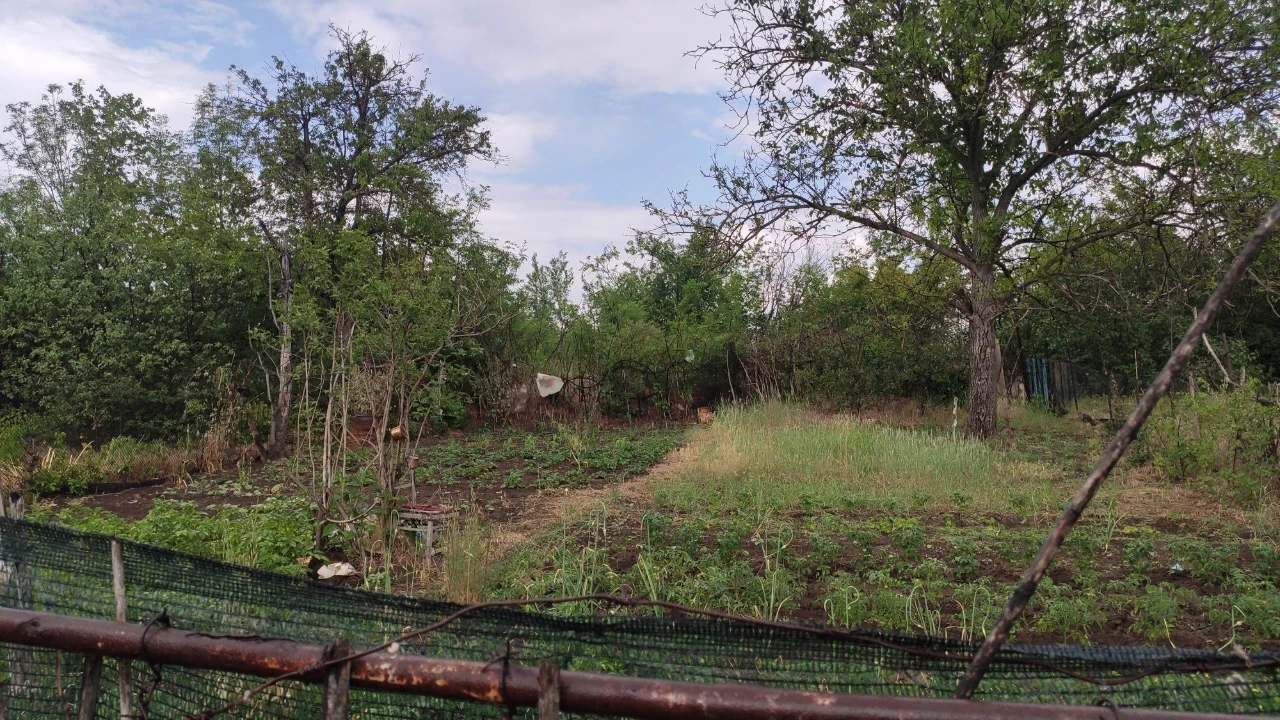 For sale: Cottage, garden.