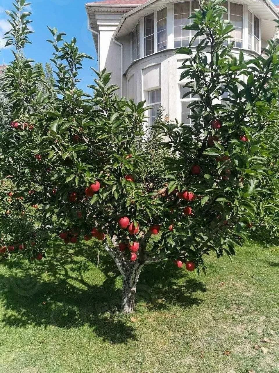 House for sale, 420 sq.m., "Svitanok" area