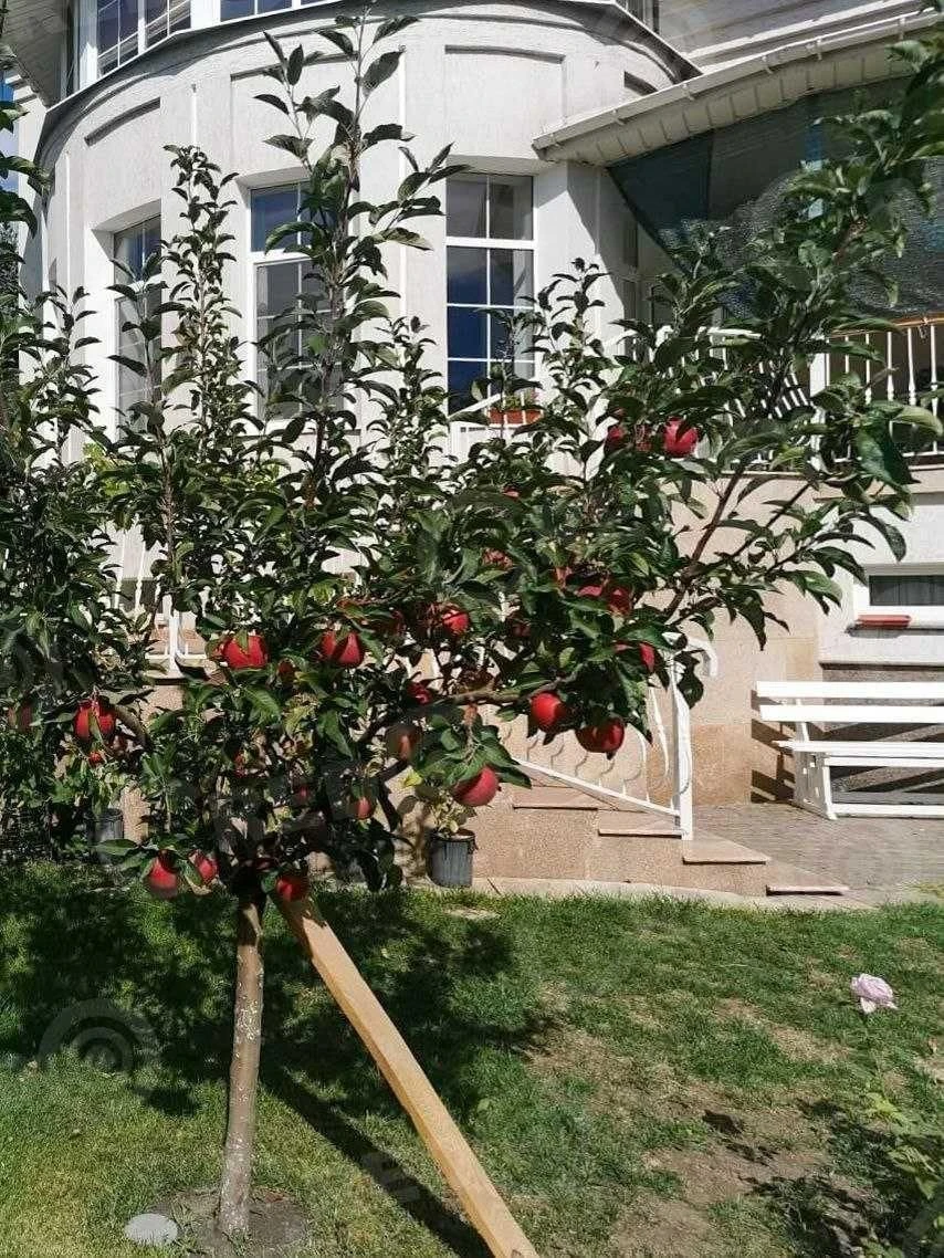House for sale, 420 sq.m., "Svitanok" area