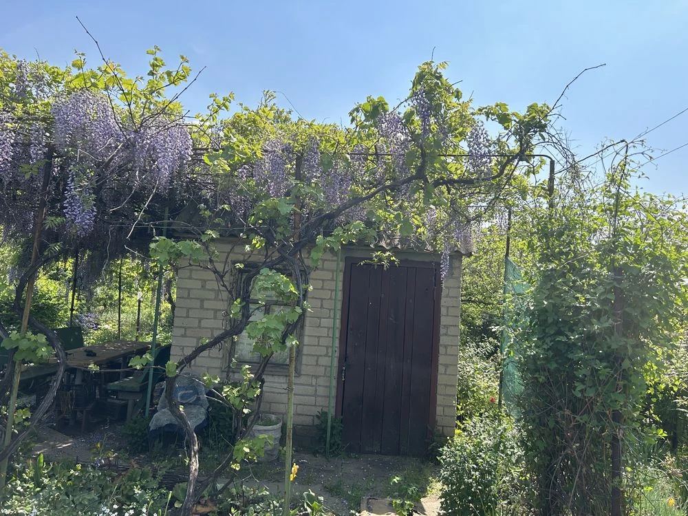 Продається дача в Карачунах