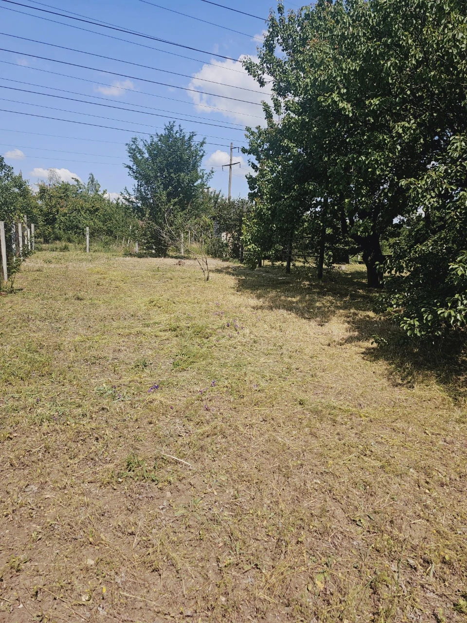 Land for sale in the Karachun S.T. "Swallow"
