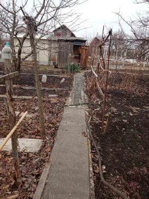Продаю садовотческое общество Західне