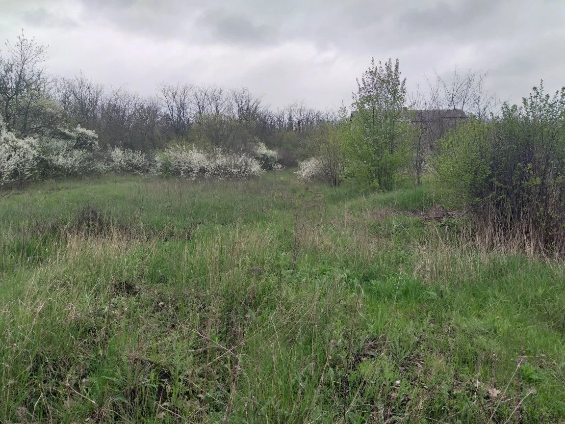 For Sale: House on a plot of land in Lesniche