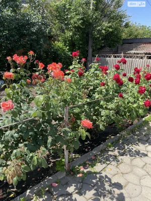 Продаж Дім
