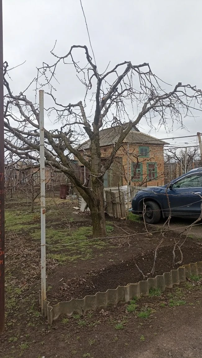 Продам дачу г. Нікополь
