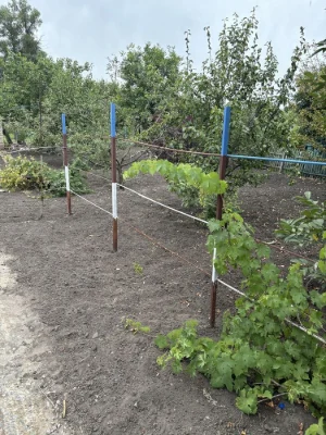Продам дачу на ПЗТО